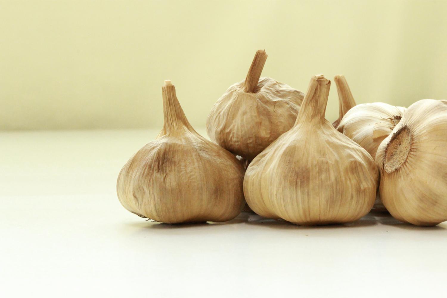 Aged Garlic Extract Natural Living Center